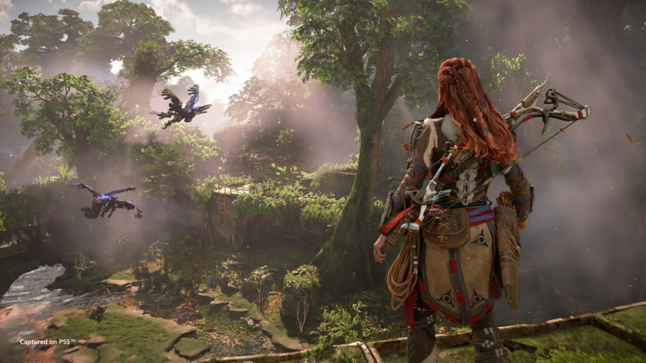 Aloy Horizon Forbidden West 4K #5761f Wallpaper PC Desktop