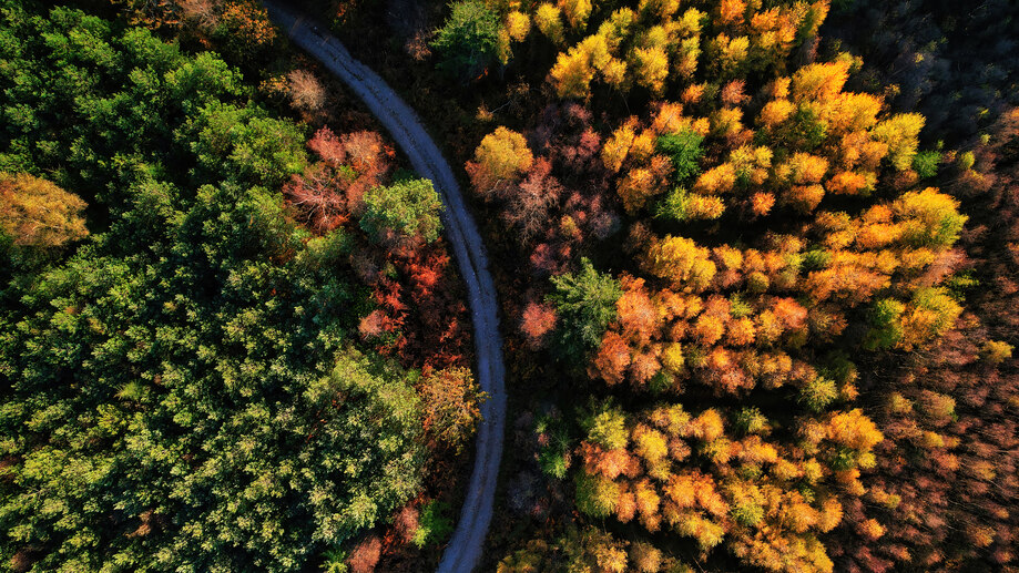 Autumn Wallpapers 4K HD