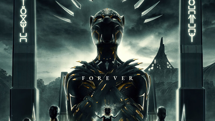 Black Panther Wakanda Forever 4K #2941j Wallpaper PC Desktop