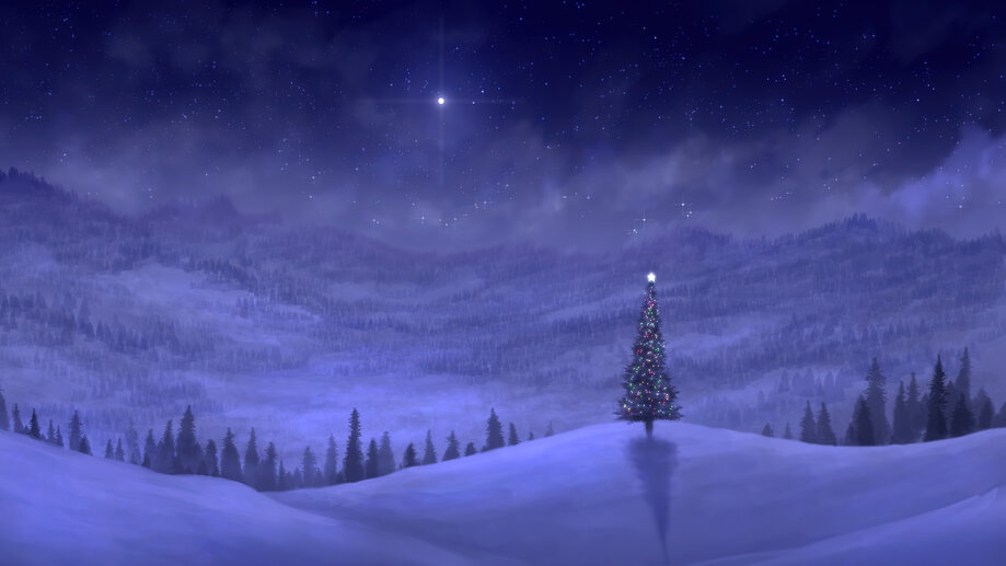 Christmas Tree Night Sky 4K #8040h Wallpaper PC Desktop