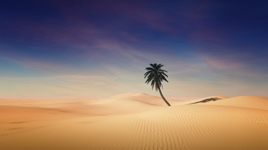 uhd desert wallpaper