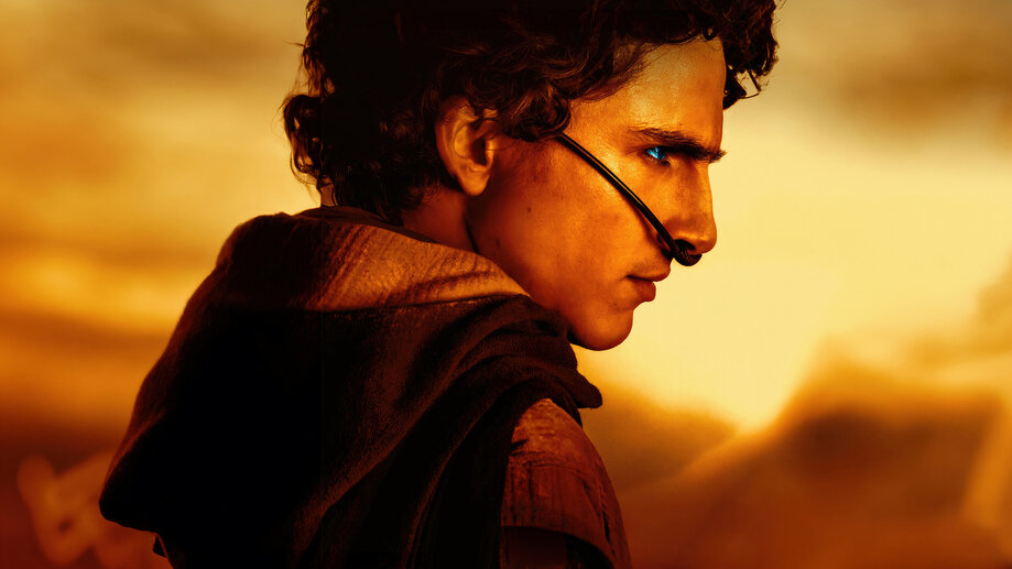 Dune Part 2 Timothee Chalamet 4K #413a Wallpaper iPhone Phone