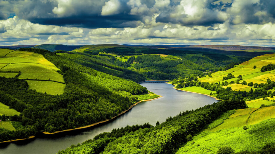 Forest Lake Nature Wallpaper 1855s Wallpaper 4K PC