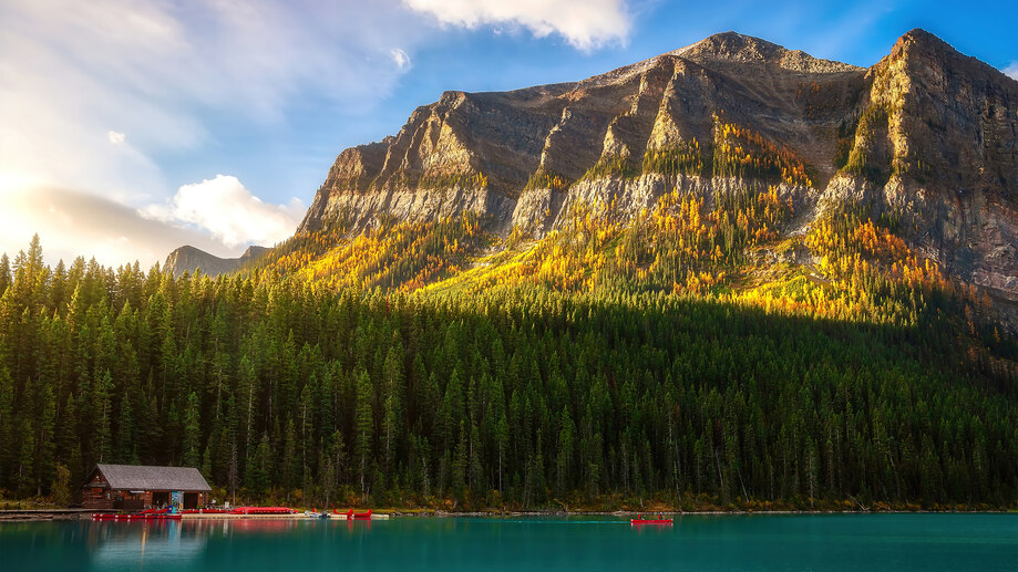 Wallpaper forest, light, mountains, lake, morning, Canada, Albert, snag for  mobile and desktop, section пейзажи, resolution 2048x1365 - download