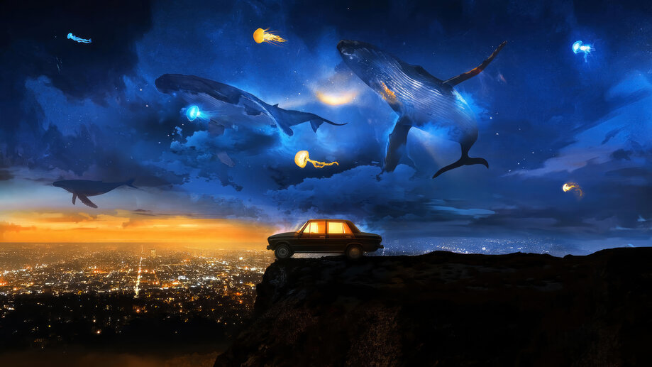 Night Sky Humpback Whale Flying 4K 8253a Wallpaper IPhone Phone