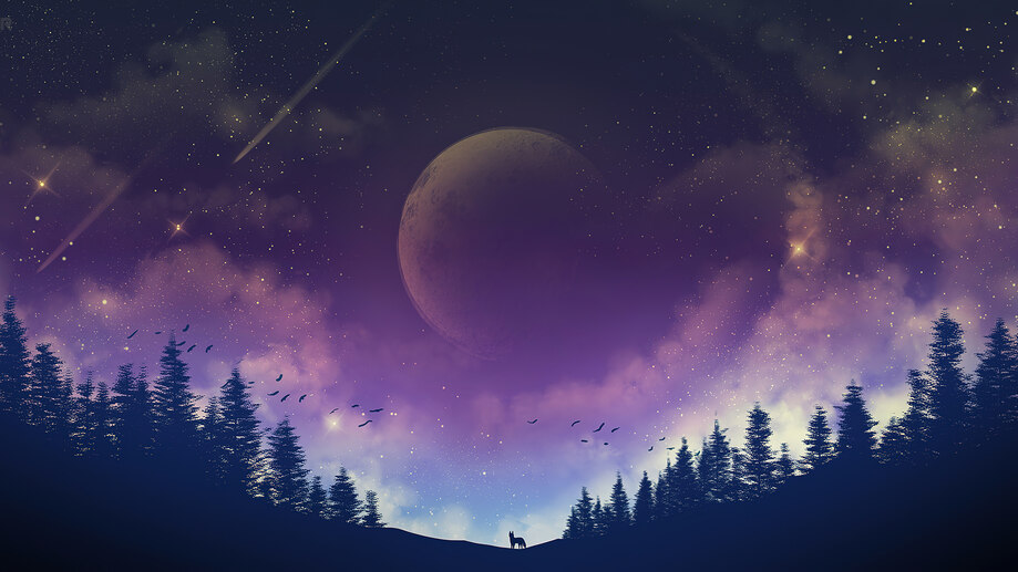 Night Sky Moon Forest Scenery 4K #9350f Wallpaper PC Desktop