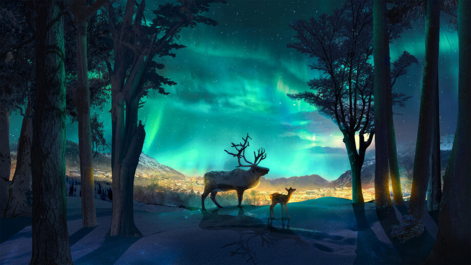 Reindeer Northern Lights 4K #8133a Wallpaper iPhone Phone