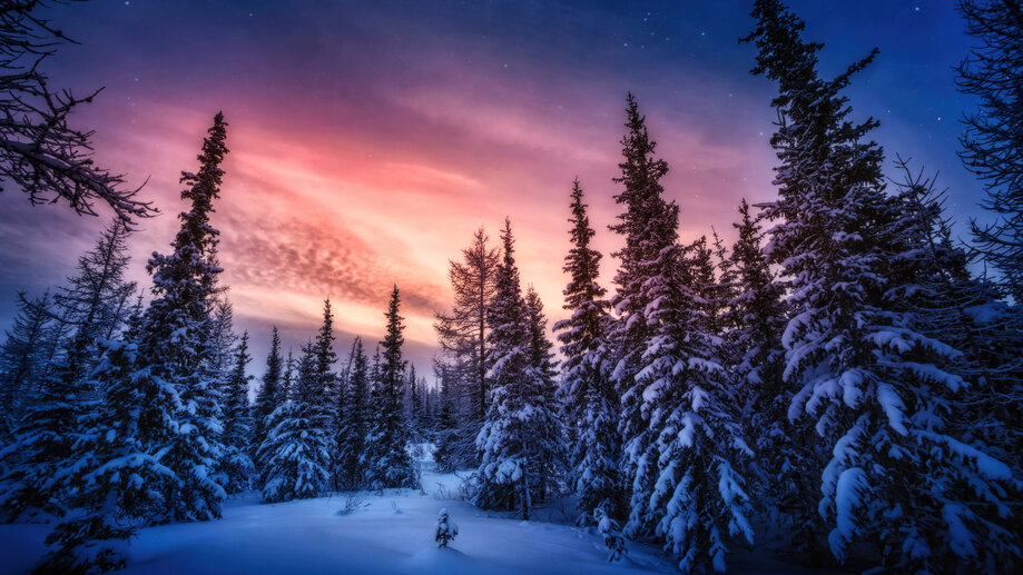 Snowy Forest Sunset Scenery 4K #5680f Wallpaper PC Desktop