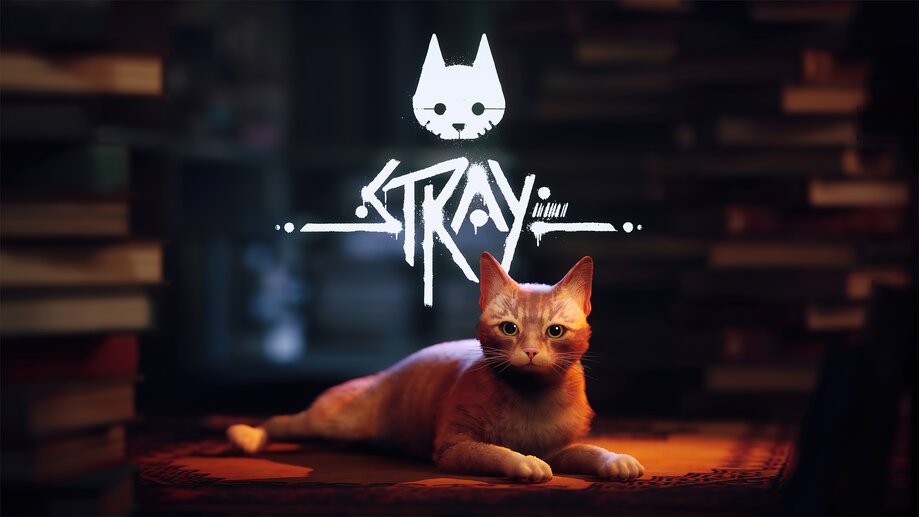 Stray Game 4K Wallpaper iPhone HD Phone #7570g