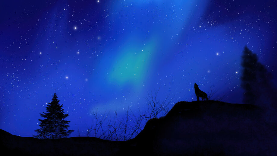 Wolf Silhouette Night Sky 4K #5760f Wallpaper iPhone Phone