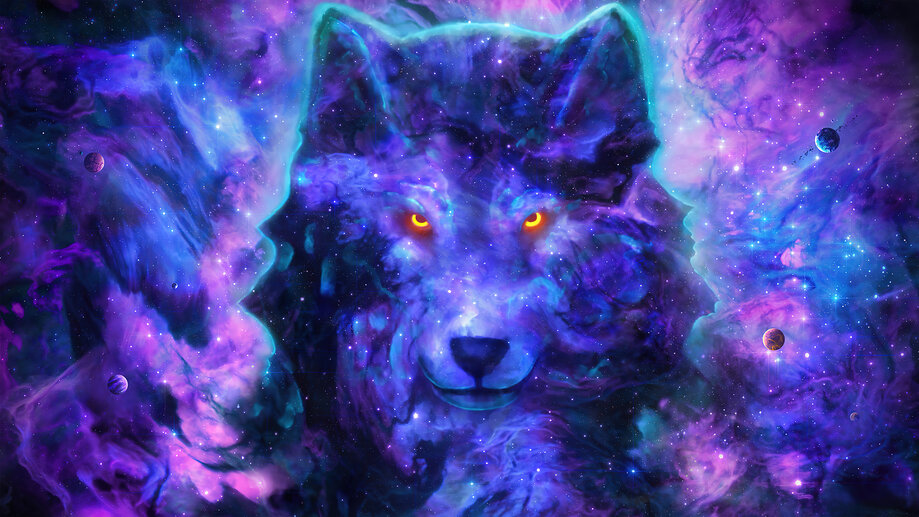 Wolf Dark Background 4K Wallpaper iPhone HD Phone #4930f